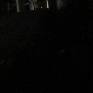 Meet your Posher, Tom